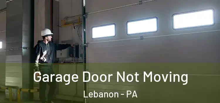  Garage Door Not Moving Lebanon - PA