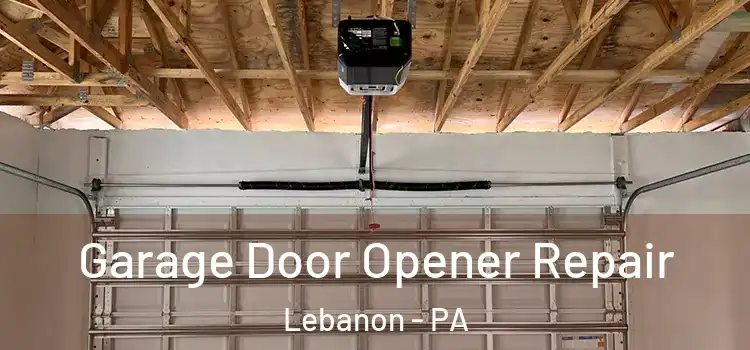  Garage Door Opener Repair Lebanon - PA