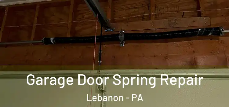  Garage Door Spring Repair Lebanon - PA