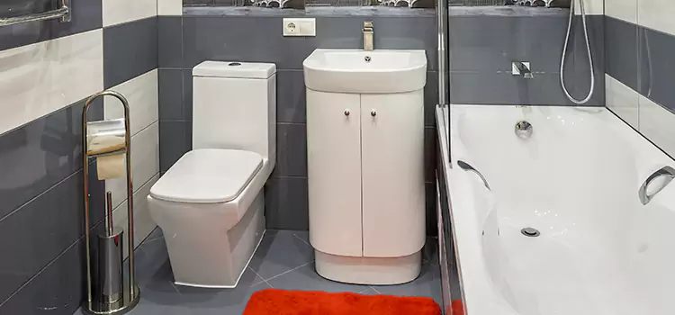 Hansgrohe Shaving Mirror Lebanon