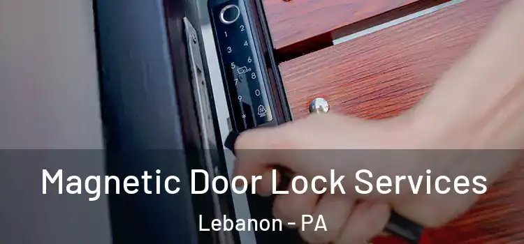  Magnetic Door Lock Services Lebanon - PA