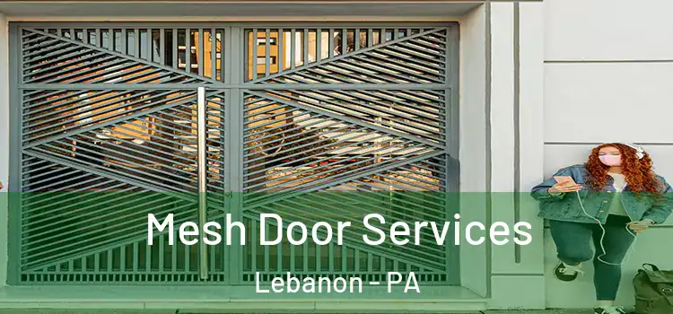Mesh Door Services Lebanon - PA