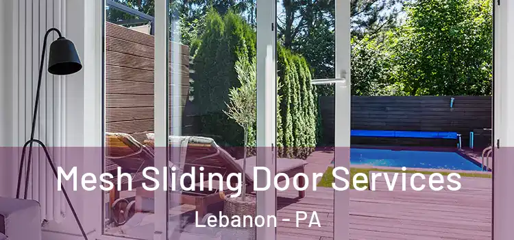 Mesh Sliding Door Services Lebanon - PA